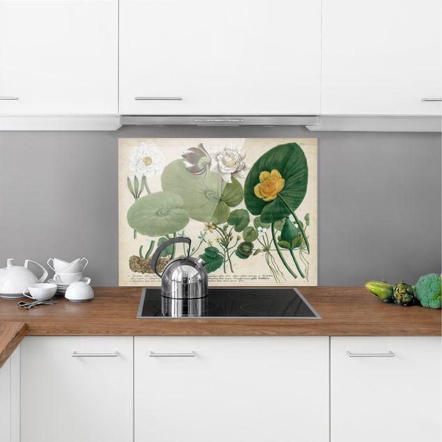 Stänkskydd kök glas blommor  Vintage Illustration White Water-Lily
