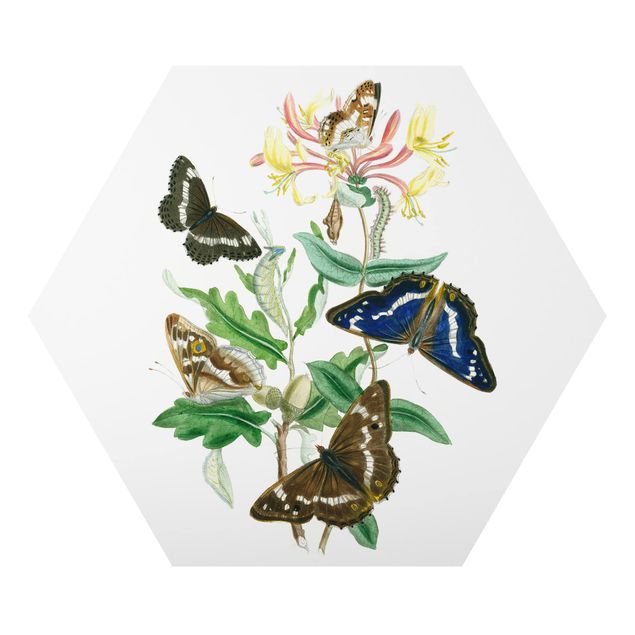 Tavlor modernt British Butterflies IV