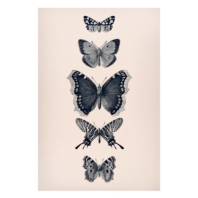 Tavlor fjärilar Ink Butterflies On Beige Backdrop