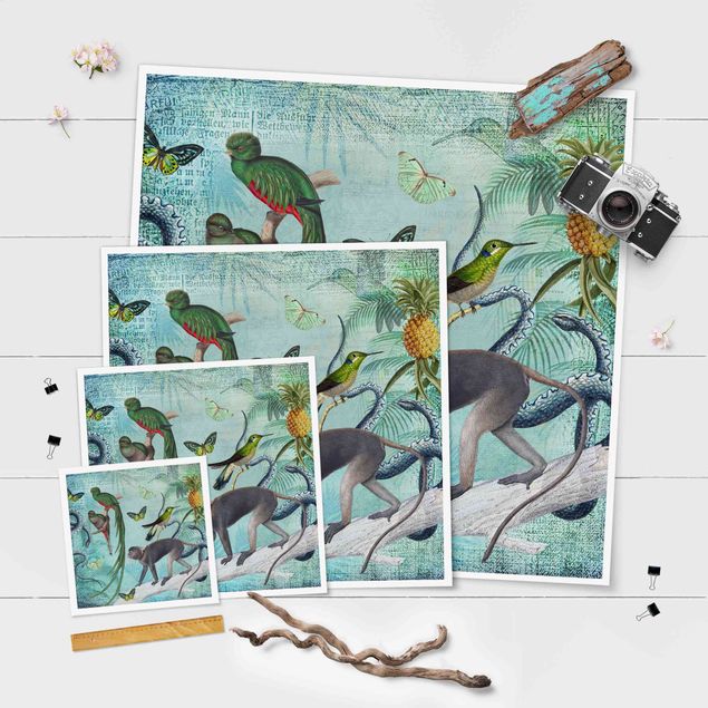 Tavlor Colonial Style Collage - Monkeys And Birds Of Paradise