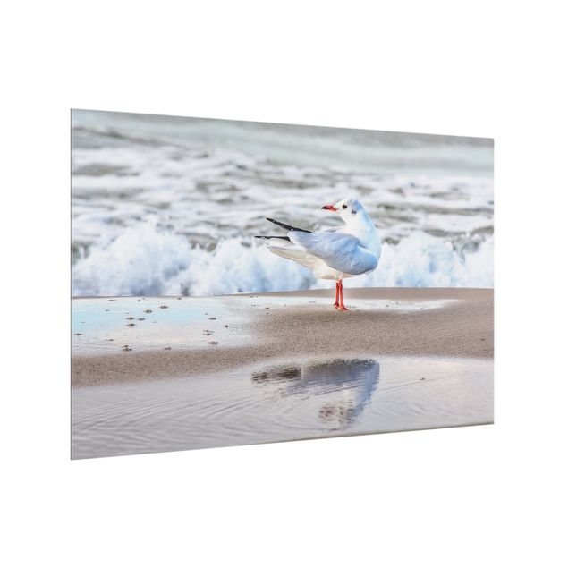 glasskiva kök Seagull On The Beach In Front Of The Sea