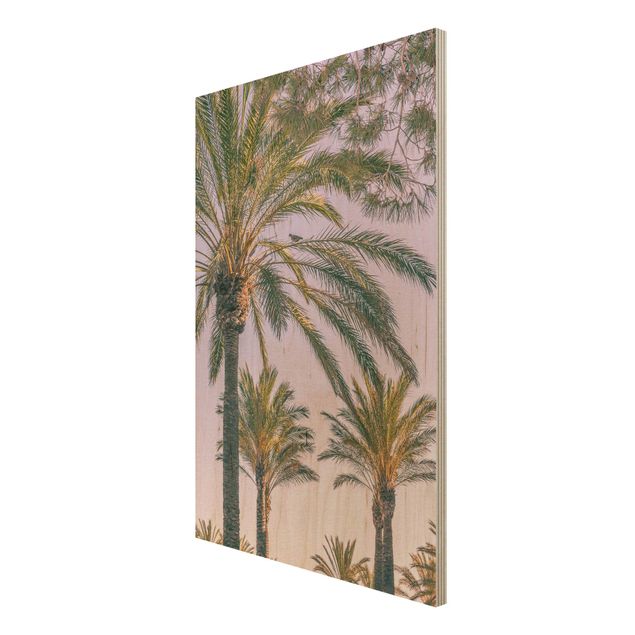 Trätavlor landskap Palm Trees At Sunset