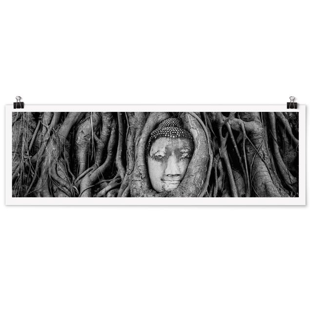 Tavlor blommor Buddha In Ayutthaya Lined From Tree Roots In Black And White