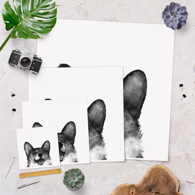 Tavlor Illustration Dog Corgi Black And White Painting
