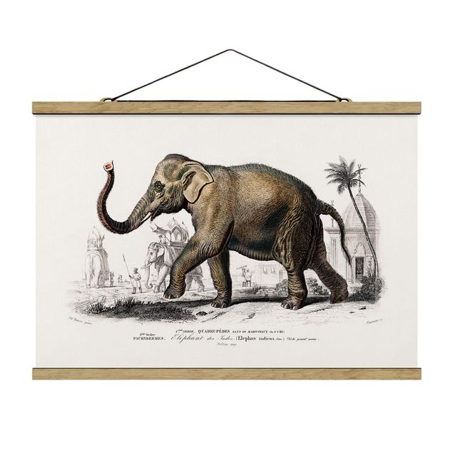 Tavlor natur Vintage Board Elephant