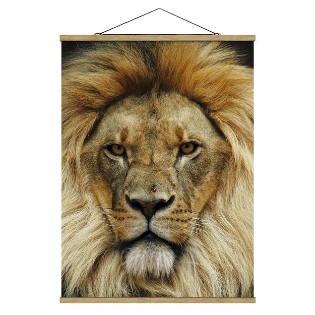 Tavlor djur Wisdom Of Lion
