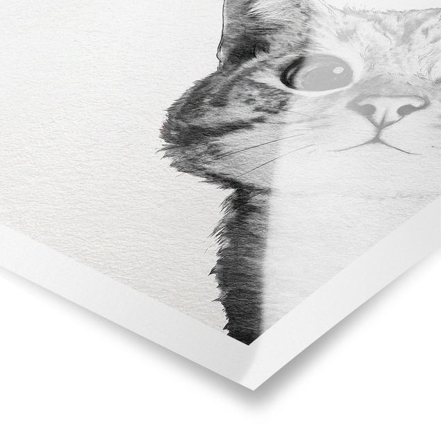 Posters djur Illustration Cat Drawing Black And White