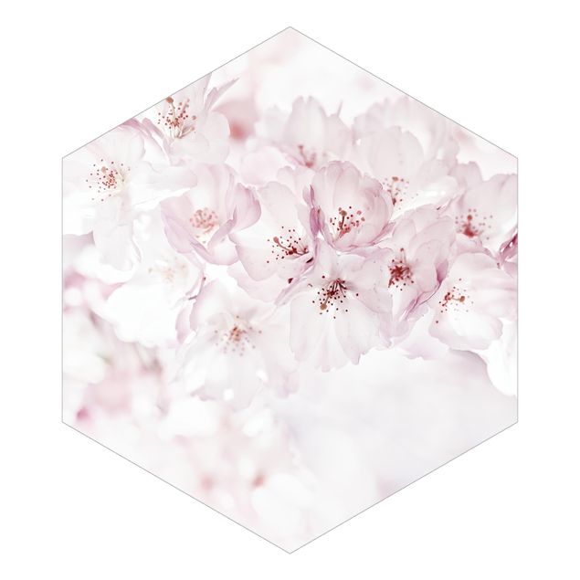 Tavlor Monika Strigel A Touch Of Cherry Blossoms
