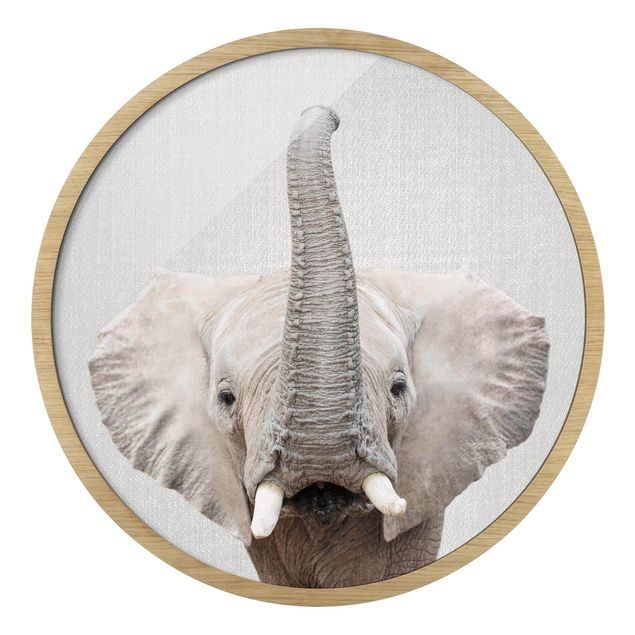 Runde gerahmte Bilder Elephant Ewald