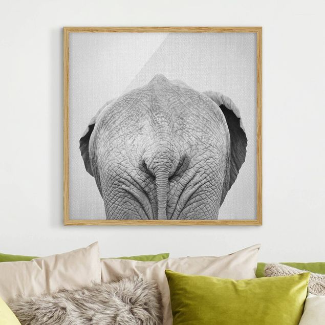 Tavlor elefanter Elephant From Behind Black And White