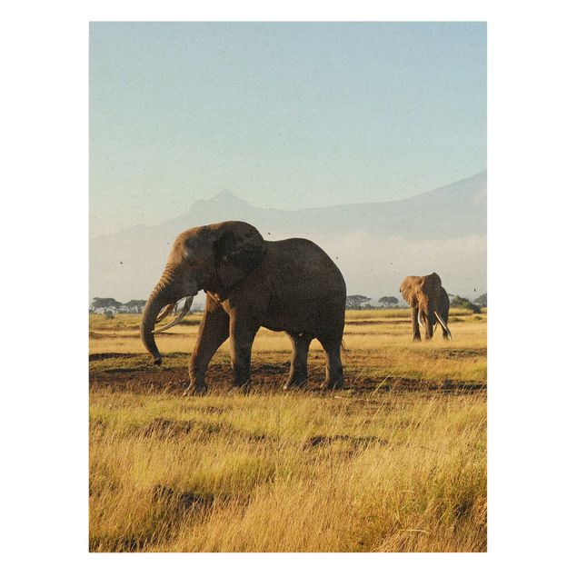 Canvastavlor bergen Elephants In Front Of Kilimanjaro In Kenya
