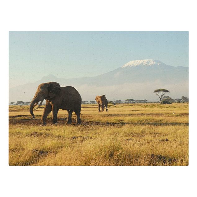 Canvastavlor bergen Elephants In Front Of Kilimanjaro In Kenya