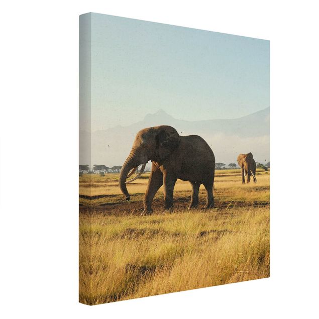 Tavlor bergen Elephants In Front Of Kilimanjaro In Kenya
