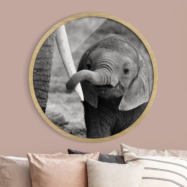 Inredning av barnrum Baby Elephant