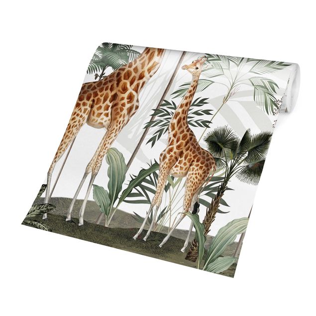 Fototapeter landskap Elegance of the giraffes in the jungle