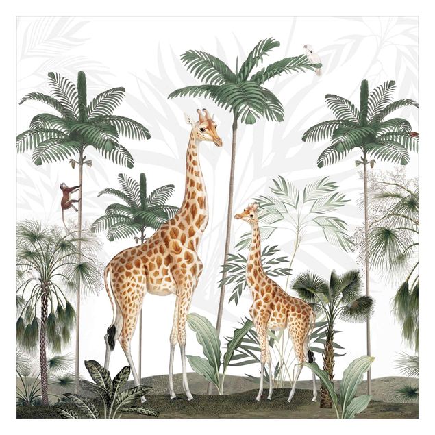 Fototapeter grön Elegance of the giraffes in the jungle