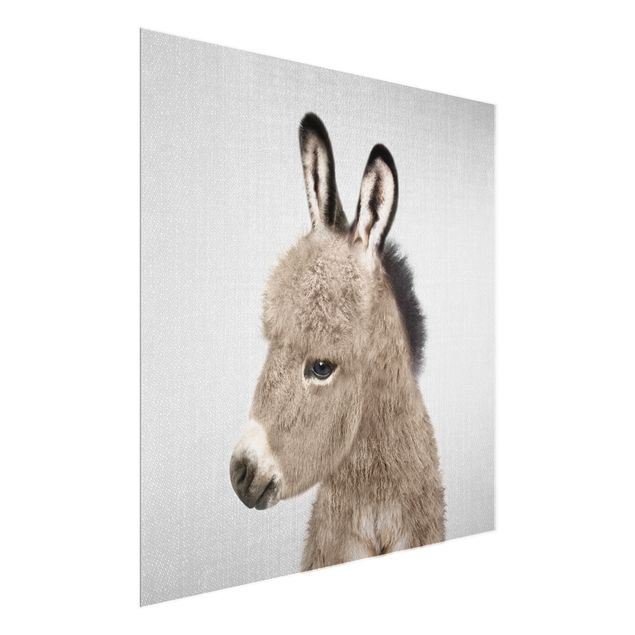 Tavlor modernt Donkey Ernesto