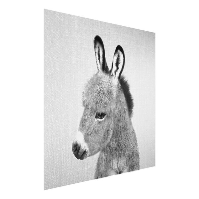 Tavlor modernt Donkey Ernesto Black And White