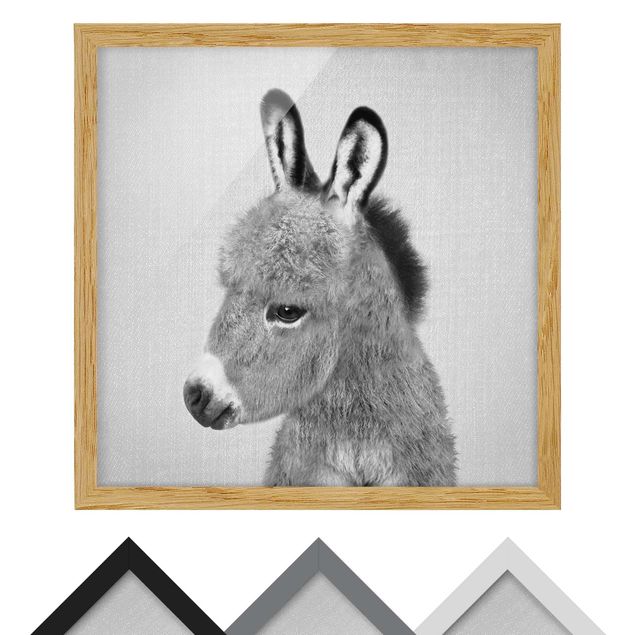 Tavlor Gal Design Donkey Ernesto Black And White