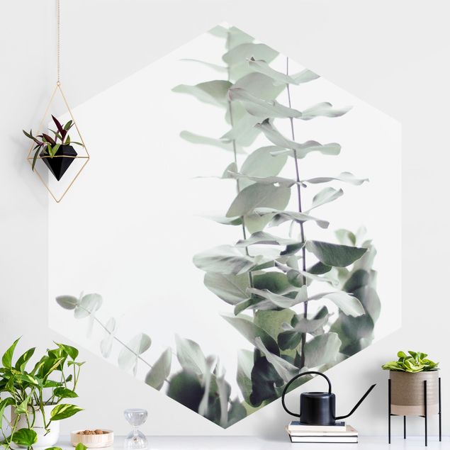 Kök dekoration Eucalyptus In White Light