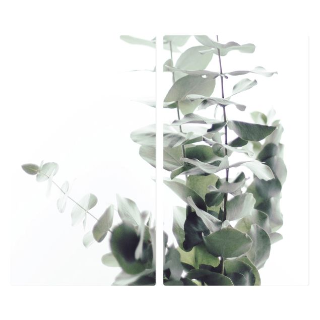 Spistäckplattor Eucalyptus In White Light