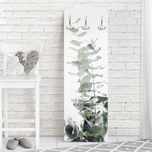 Klädhängare vägg blommor  Eucalyptus In White Light