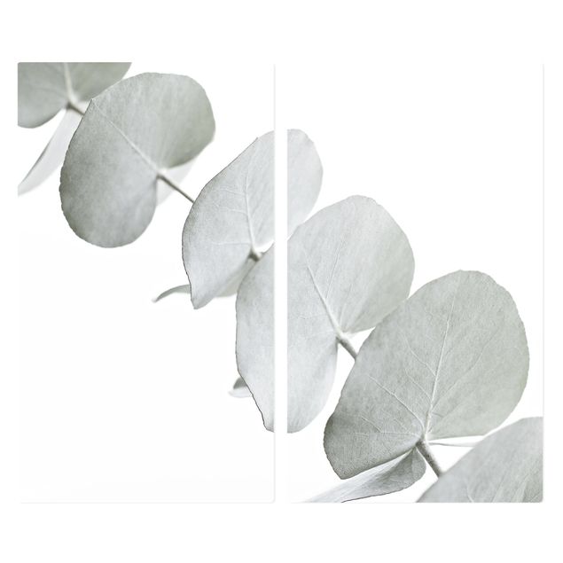 Spistäckplattor Eucalyptus Branch In White Light