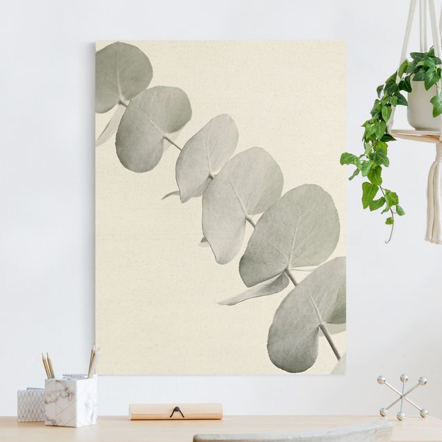 Kök dekoration Eucalyptus Branch In White Light