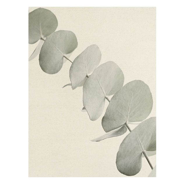 Tavlor Monika Strigel Eucalyptus Branch In White Light