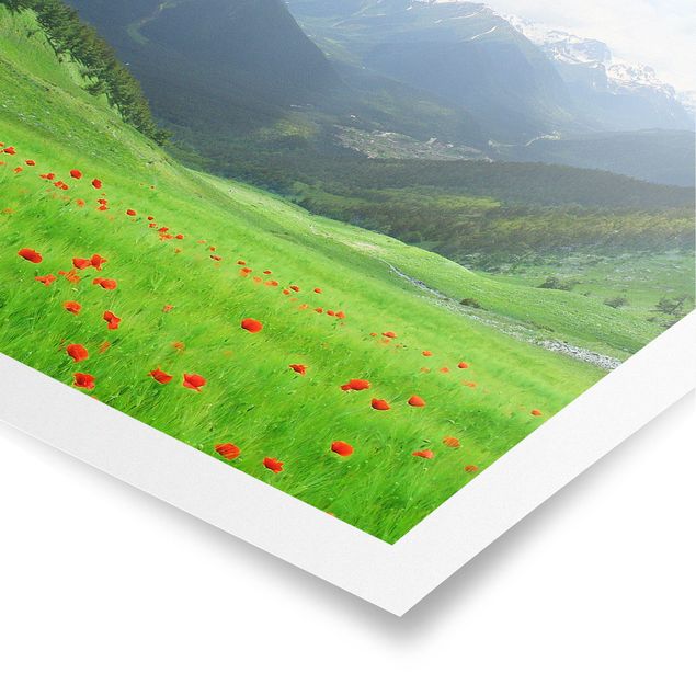 Tavlor landskap Alpine Meadow