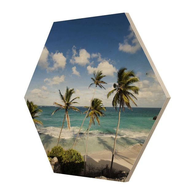 Hexagonala tavlor Beach Of Barbados