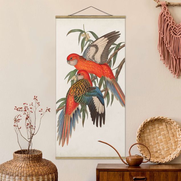 Kök dekoration Tropical Parrot I