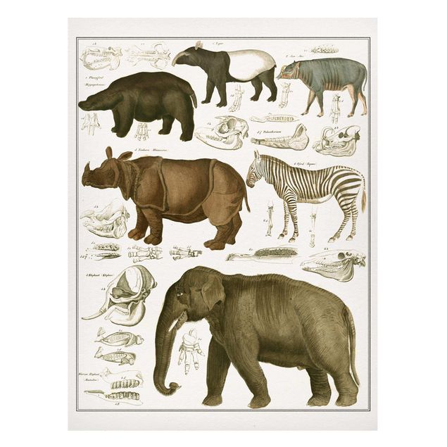 Tavlor elefanter Vintage Board Elephant, Zebra And Rhino