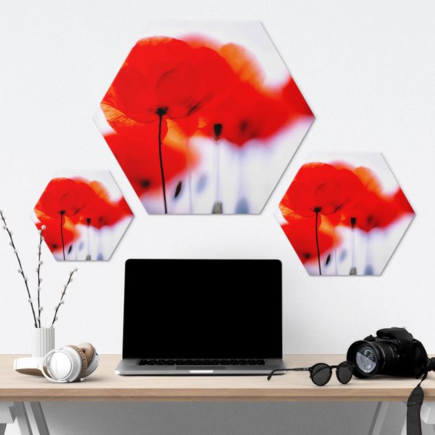 Hexagonala tavlor Magic Poppies