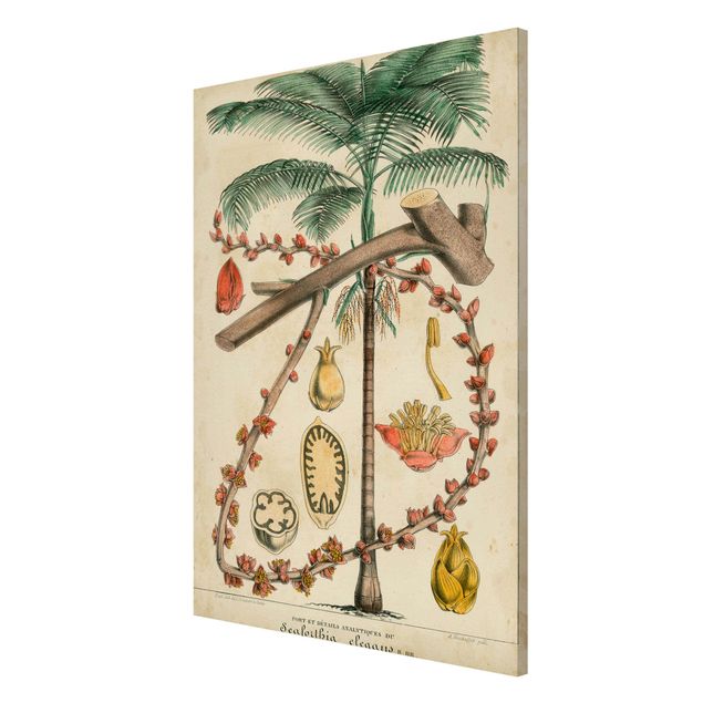 Magnettavla blommor  Vintage Board Exotic Palms II