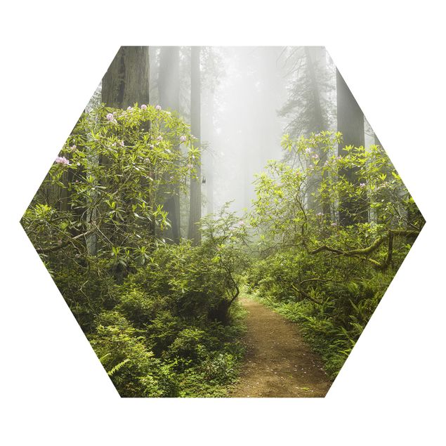Tavlor modernt Misty Forest Path