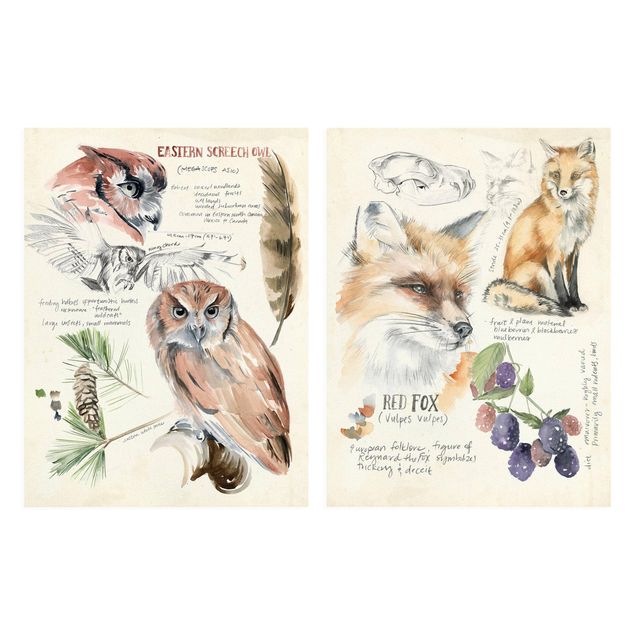 Tavlor Wilderness Journal Owl And Fox Set I