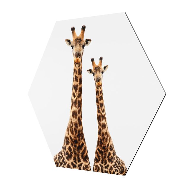 Hexagonala tavlor Portait Of Two Giraffes