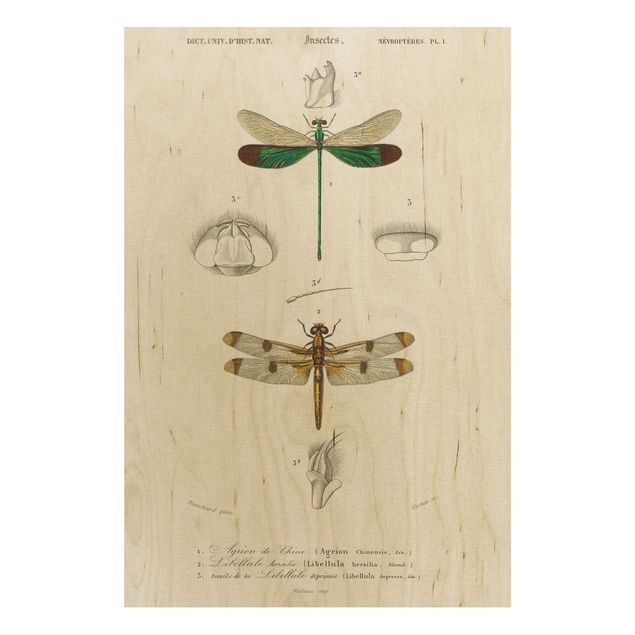 Trätavlor vintage Vintage Board Dragonflies