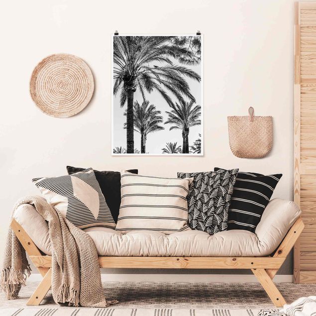Posters blommor  Palm Trees At Sunset Black And White
