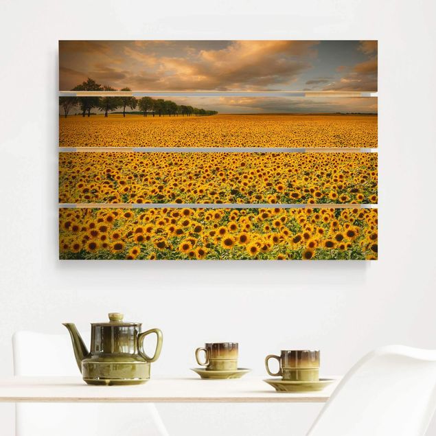 Kök dekoration Field With Sunflowers