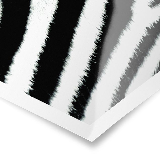 Tavlor svart och vitt Zebra Crossing