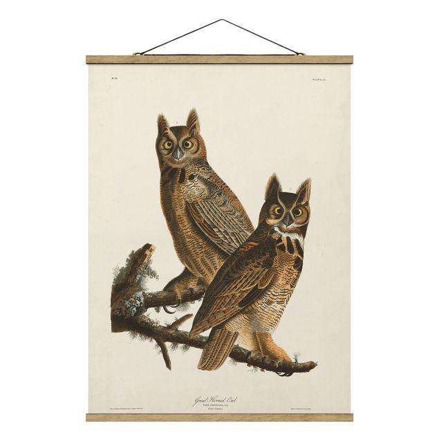 Tavlor djur Vintage Board Two Large Owls