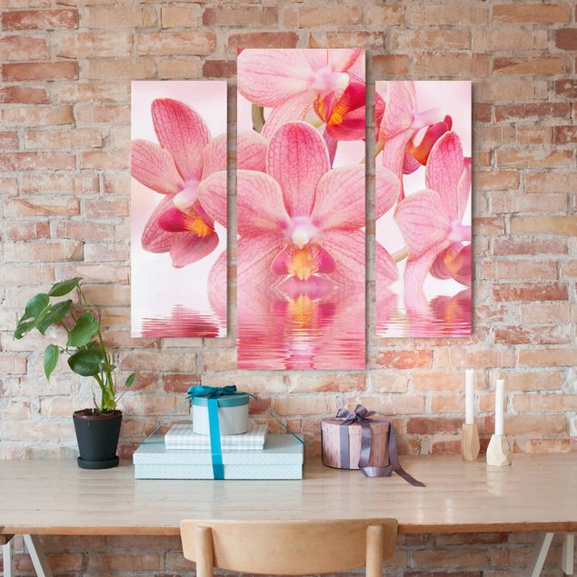 Canvastavlor orkidéer Light Pink Orchid On Water