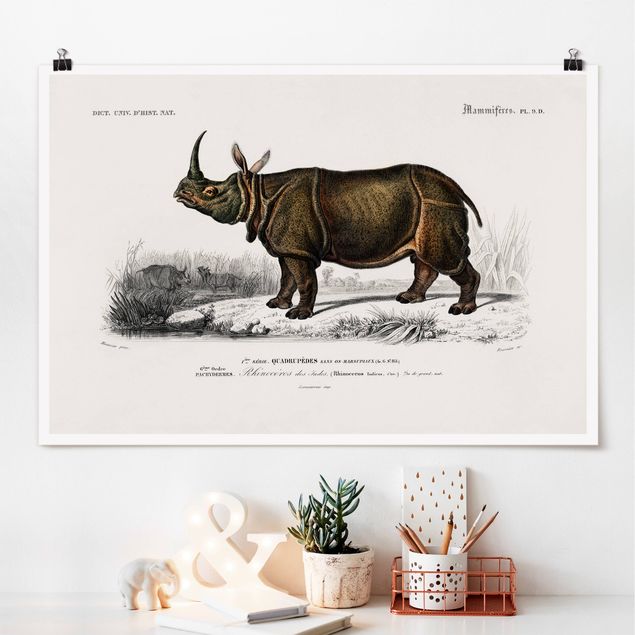 Kök dekoration Vintage Board Rhino