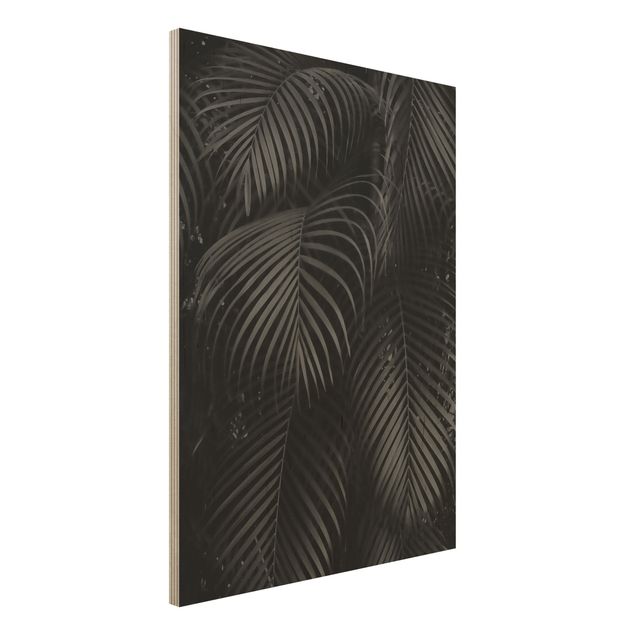 Kök dekoration Black Palm Fronds