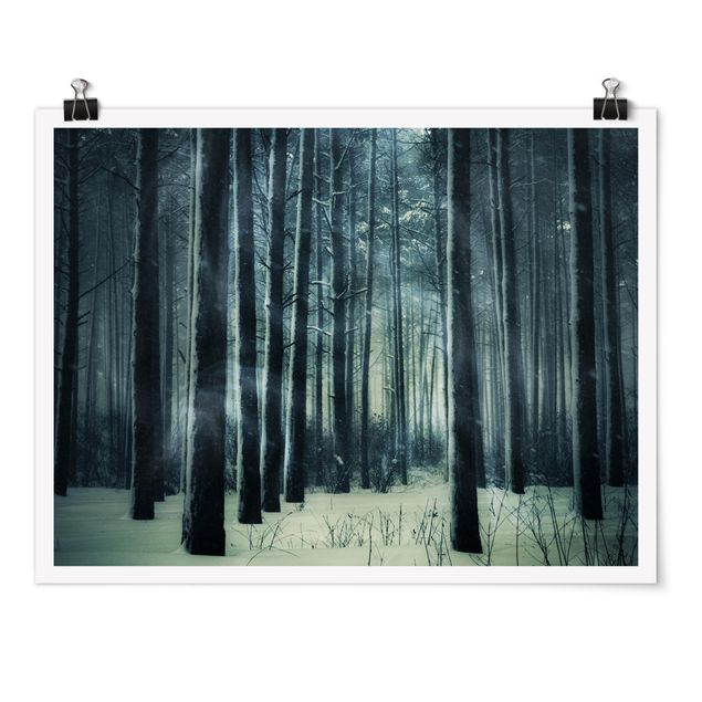 Tavlor 3D Mystical Winter Forest