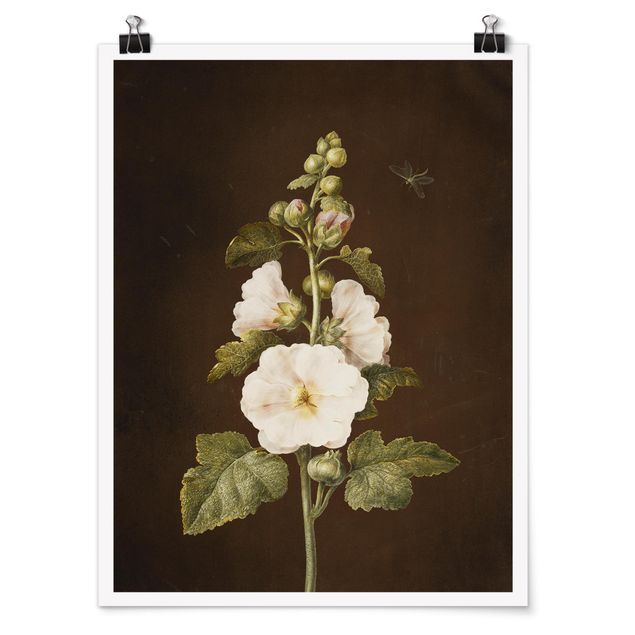Posters blommor  Barbara Regina Dietzsch - Hollyhock