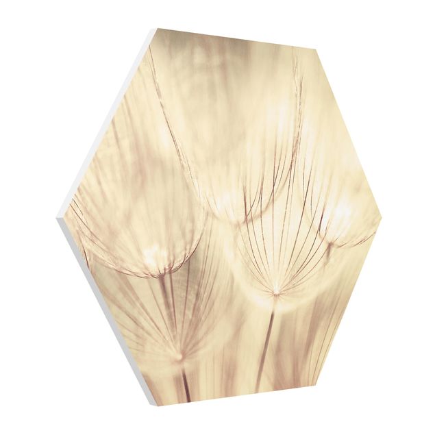 Tavlor modernt Dandelions Close-Up In Cozy Sepia Tones