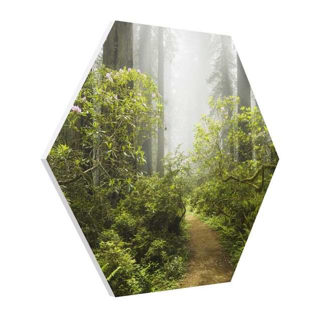 Tavlor natur Misty Forest Path